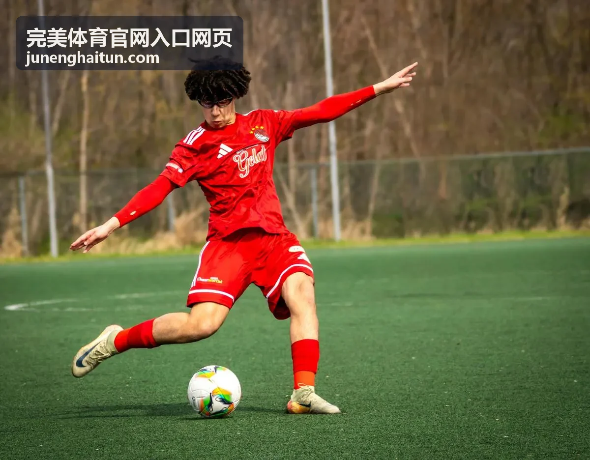 完美体育官网入口网页 赛程数据面板封面