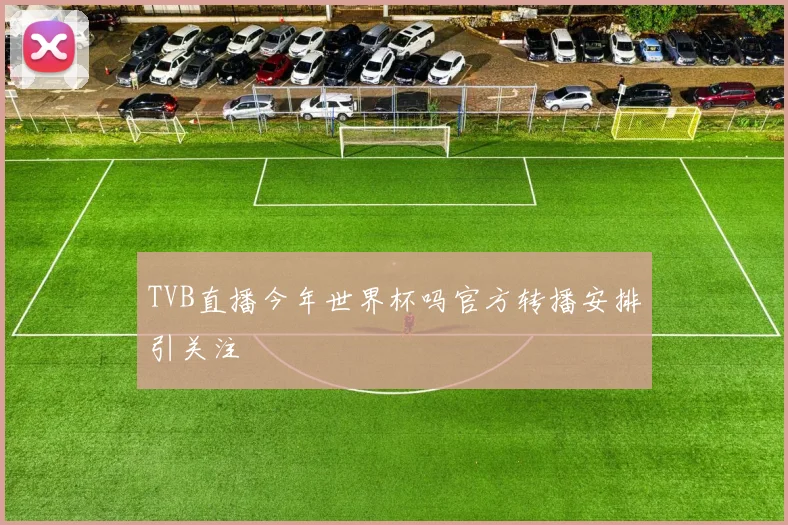 TVB直播今年世界杯吗官方转播安排引关注