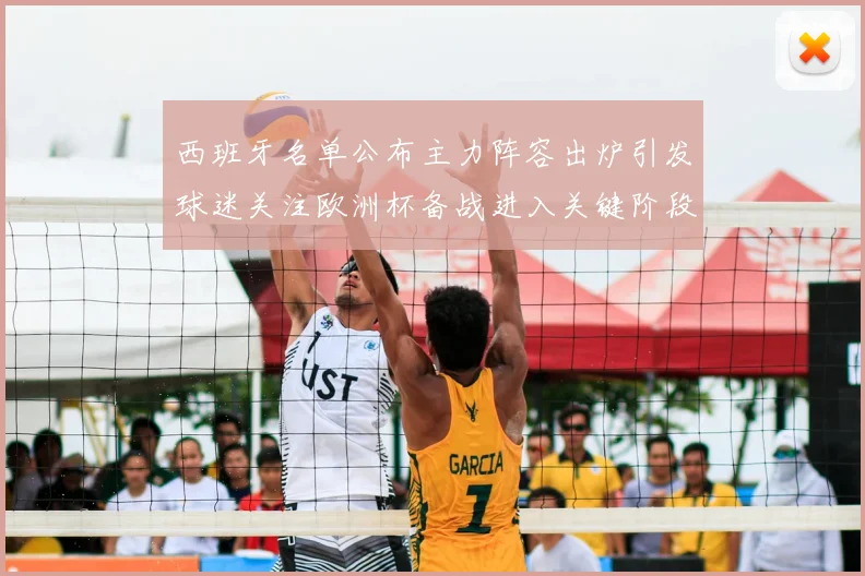 西班牙名单公布主力阵容出炉引发球迷关注欧洲杯备战进入关键阶段