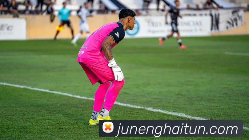 世界杯体育app官网服务体系